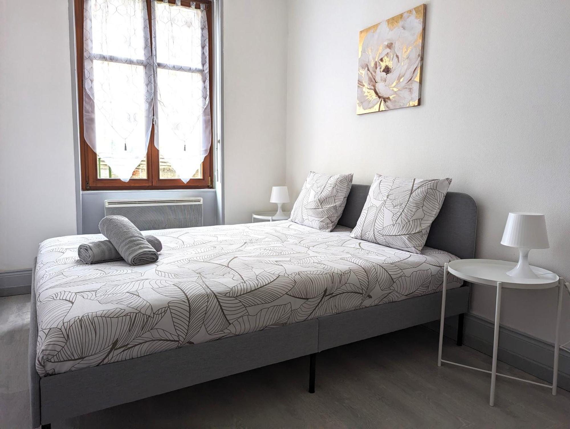 Le Mirage - Appartement 2 Chambres, Salon, Cuisine Equipee, Parking Et Wifi Gratuit Mulhouse Eksteriør billede